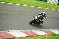 Lower Group Multicolour Bikes